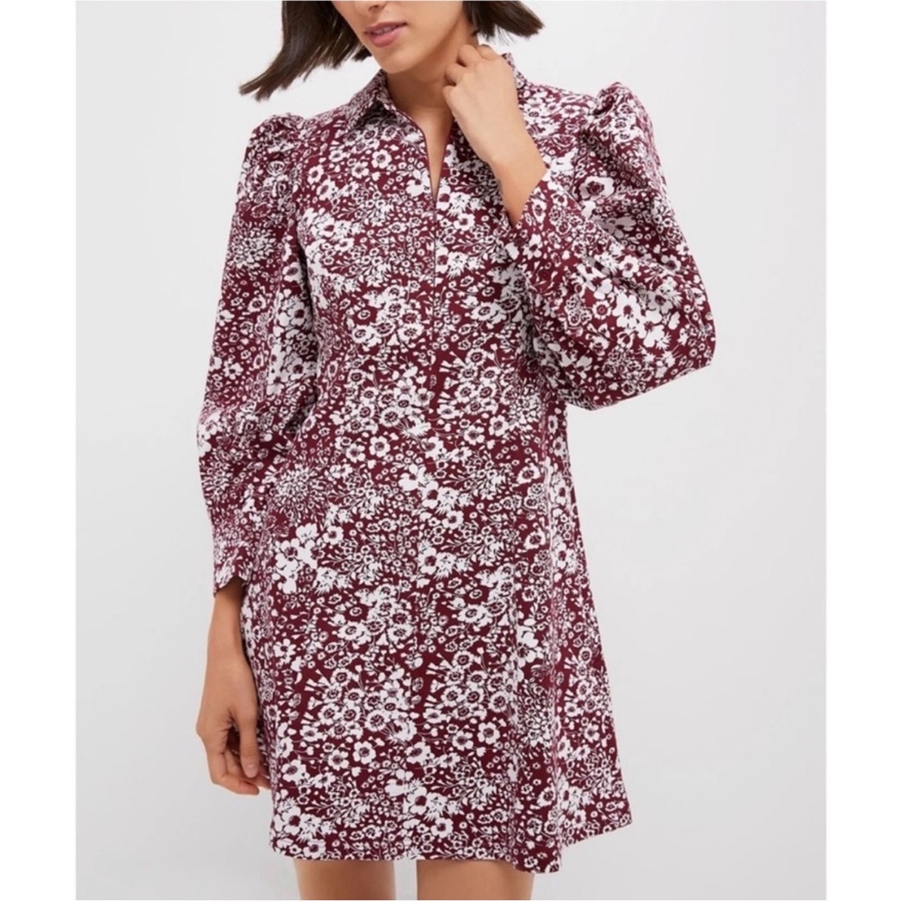 Hyacinth House Maroon Floral Front Zip Begonia Mini Dress Women Size XXL Stretch